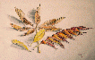 Herbstlaub