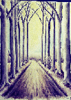 Wald